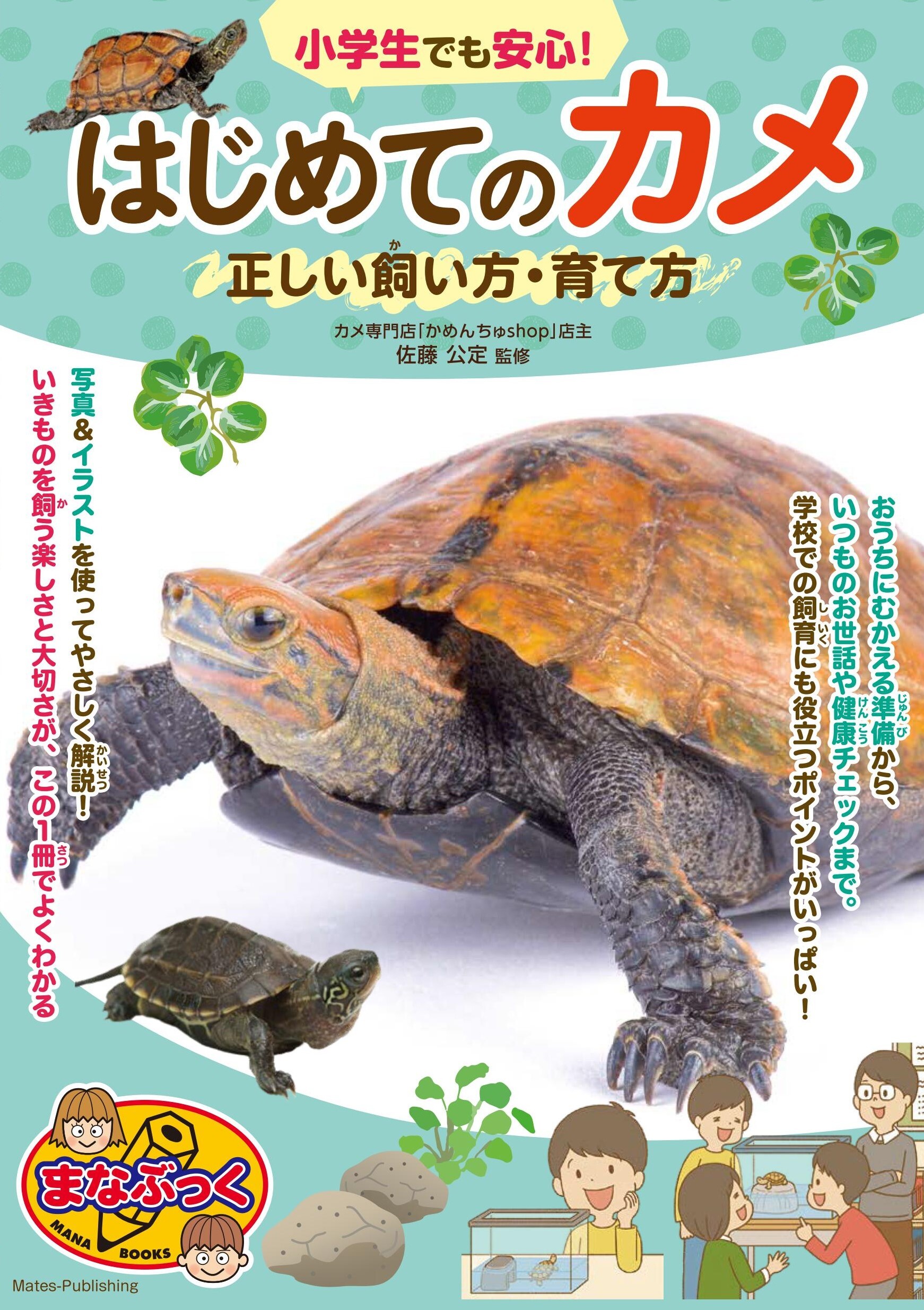 小学生でも安心！ はじめてのカメ 正しい飼い方・育て方