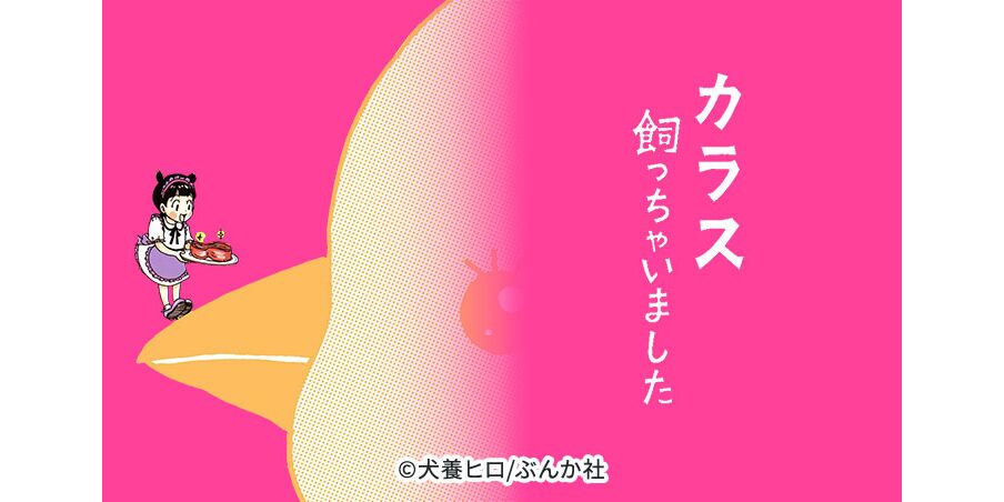 13話無料 カラス飼っちゃいました 無料連載 Amebaマンガ 旧 読書のお時間です 13話無料 カラス飼っちゃいました 無料連載 Amebaマンガ 旧 読書のお時間です