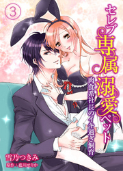 セレブ専属溺愛ペット～肉食系社長のイキ過ぎ飼育～3