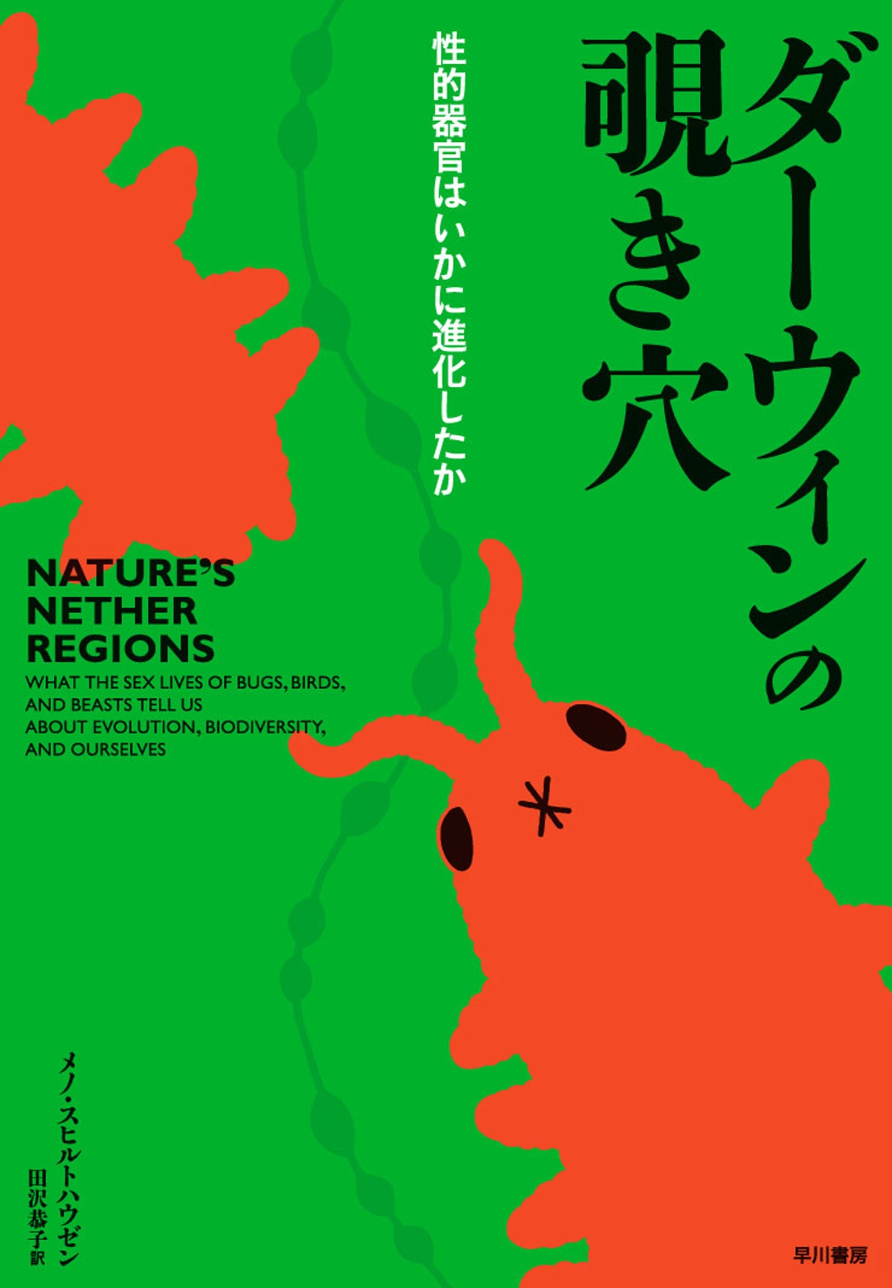 ダーウィンの覗き穴