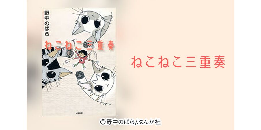 Plngjwh81lwdvm