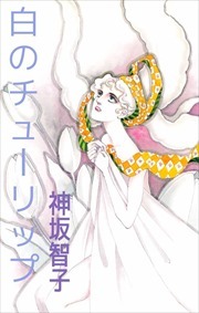 白のチューリップ1