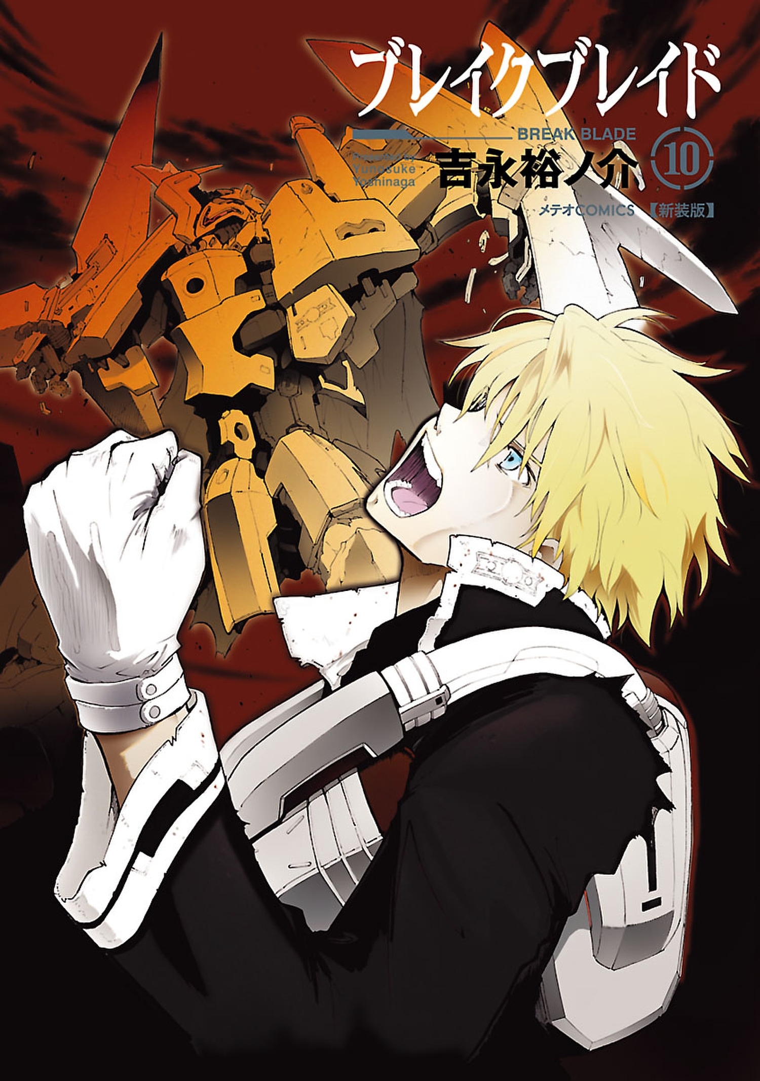ブレイクブレイド（10）