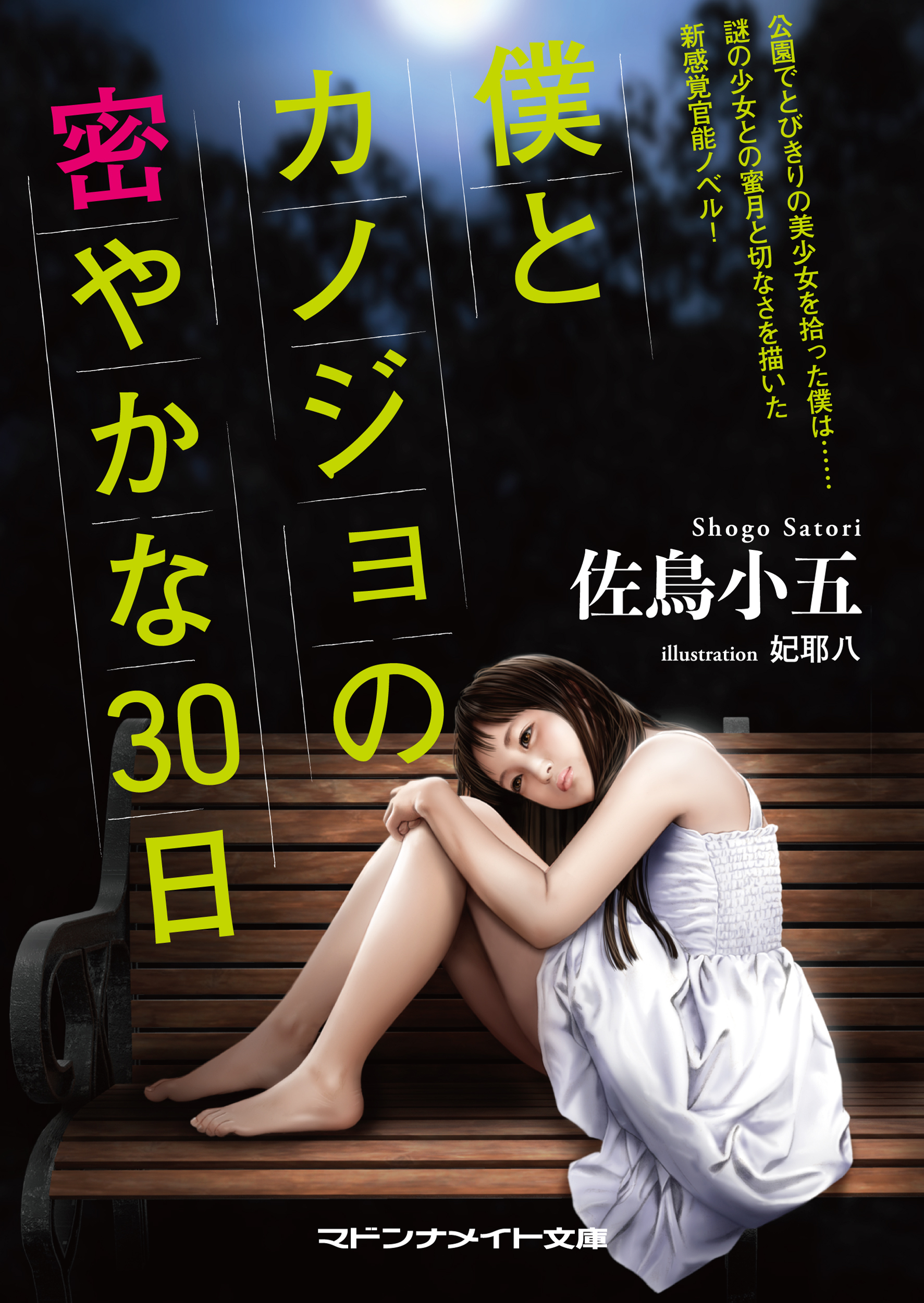 僕とカノジョの密やかな30日