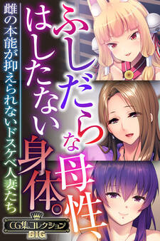 ふしだらな母性、はしたない身体。 ~雌の本能が抑えられないドスケベ人妻たち~【CG集コレクションBIG】