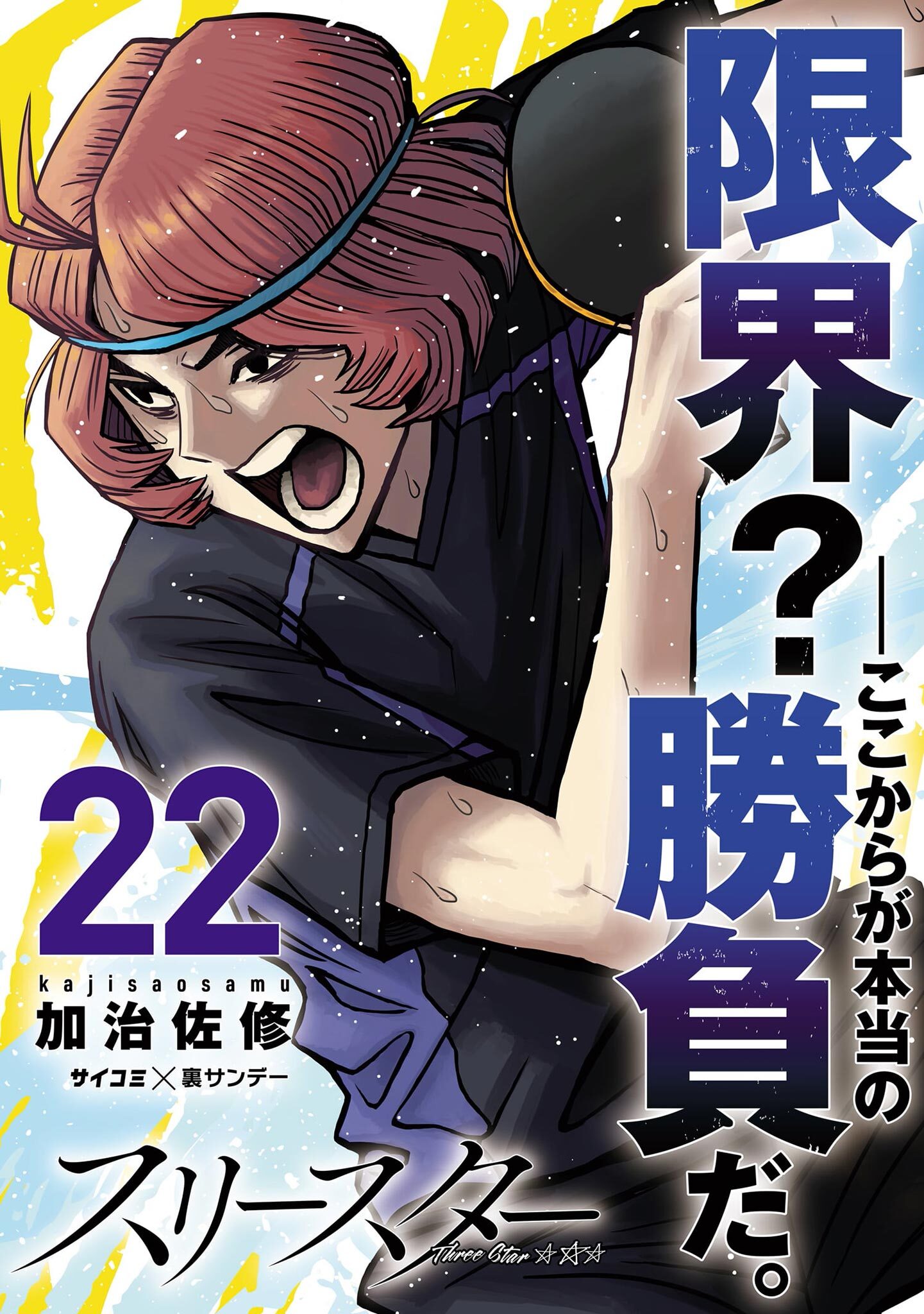 スリースター 22