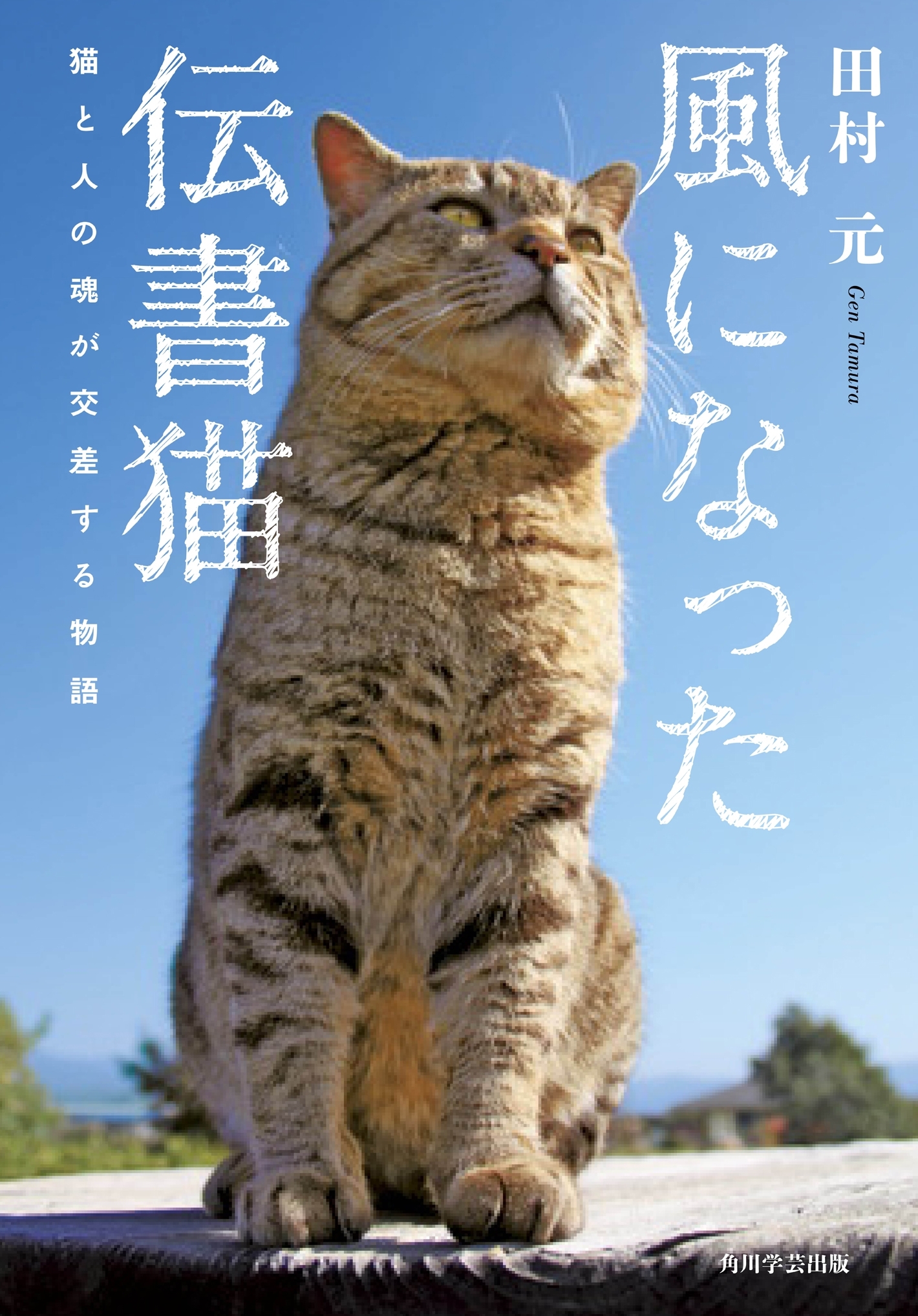 風になった伝書猫　猫と人の魂が交差する物語