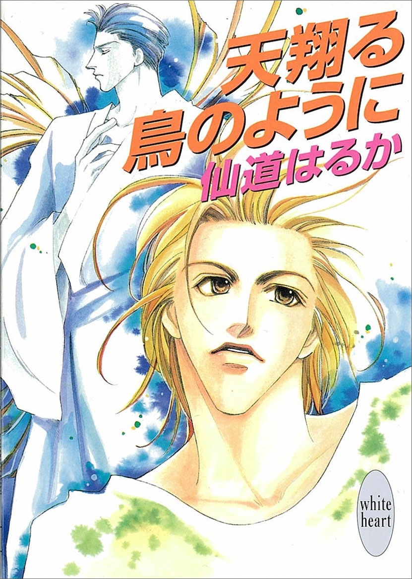 天翔る鳥のように