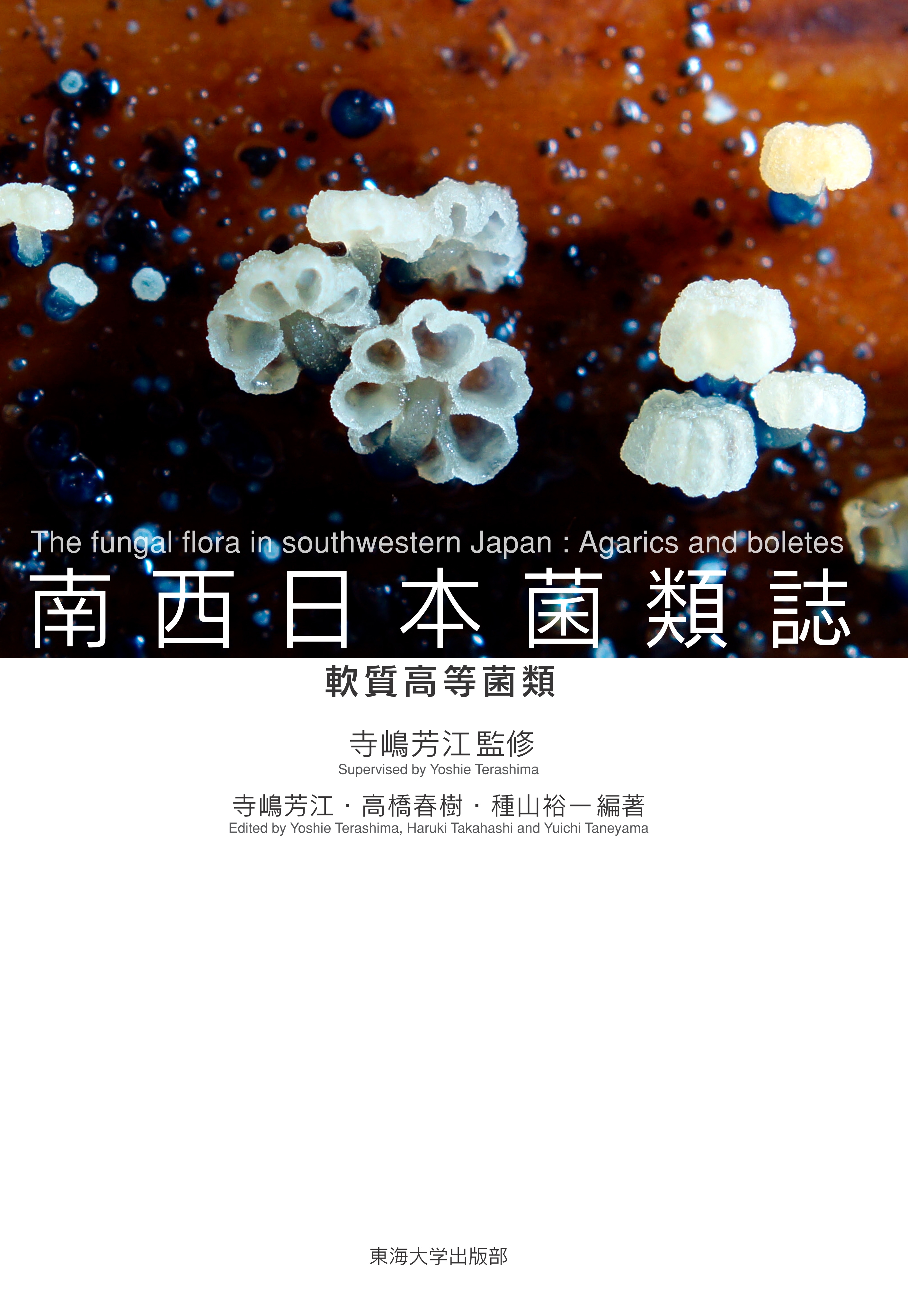 南西日本菌類誌