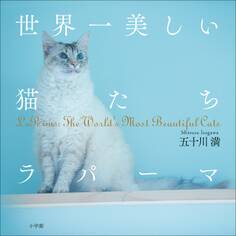 世界一美しい猫たち ラパーマ~LaPerms: The Wolrld's Most Beautiful Cats~