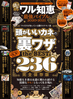 晋遊舎ムック 儲けのワル知恵最強バイブル 2020-2021
