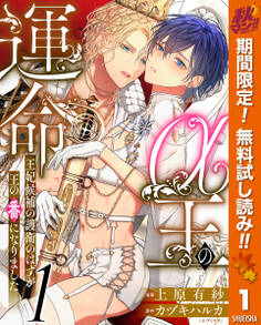 α王の運命~王妃候補の護衛のはずが王の番になりました~【期間限定無料】 1