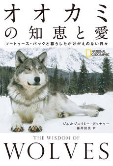 オオカミの知恵と愛 ソートゥース・パックと暮らしたかけがえのない日々