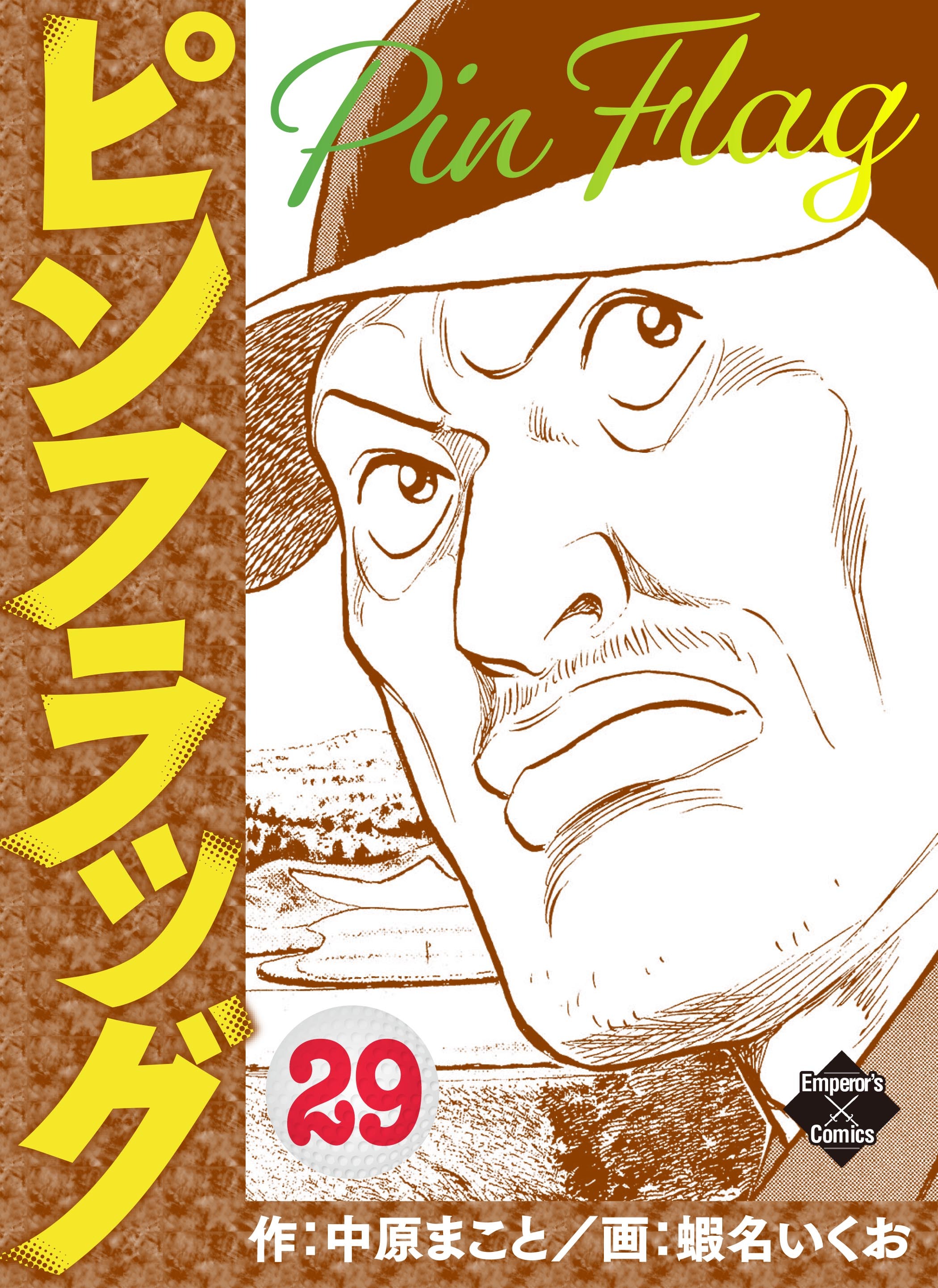 ピンフラッグ 29