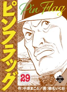 ピンフラッグ 29