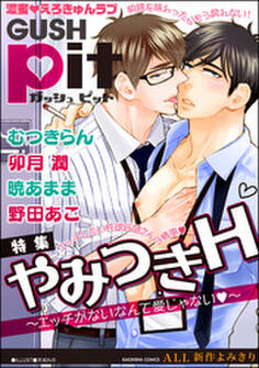 GUSHpit やみつきH~エッチがないなんて愛じゃないv~