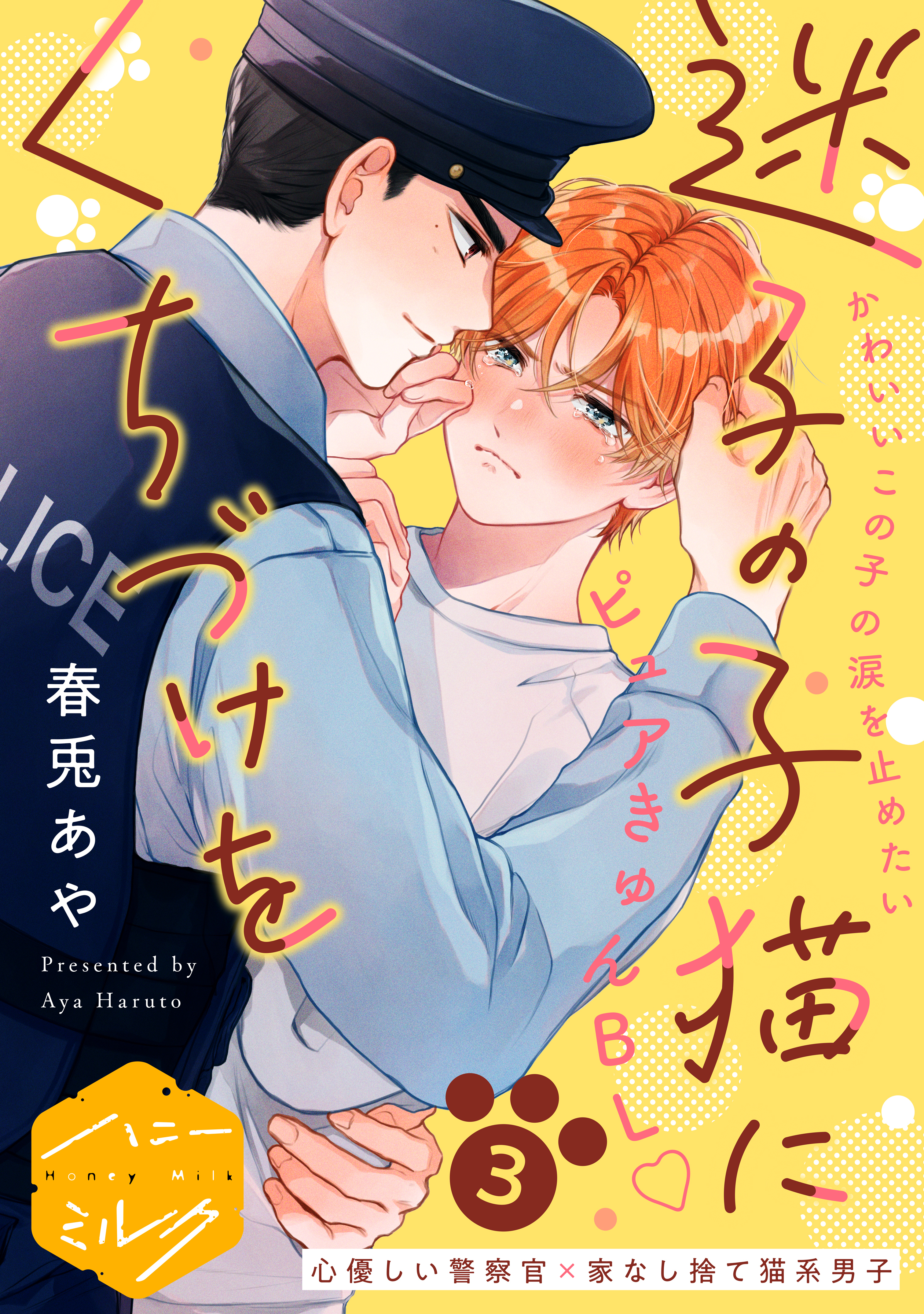 迷子の子猫にくちづけを　分冊版（３）