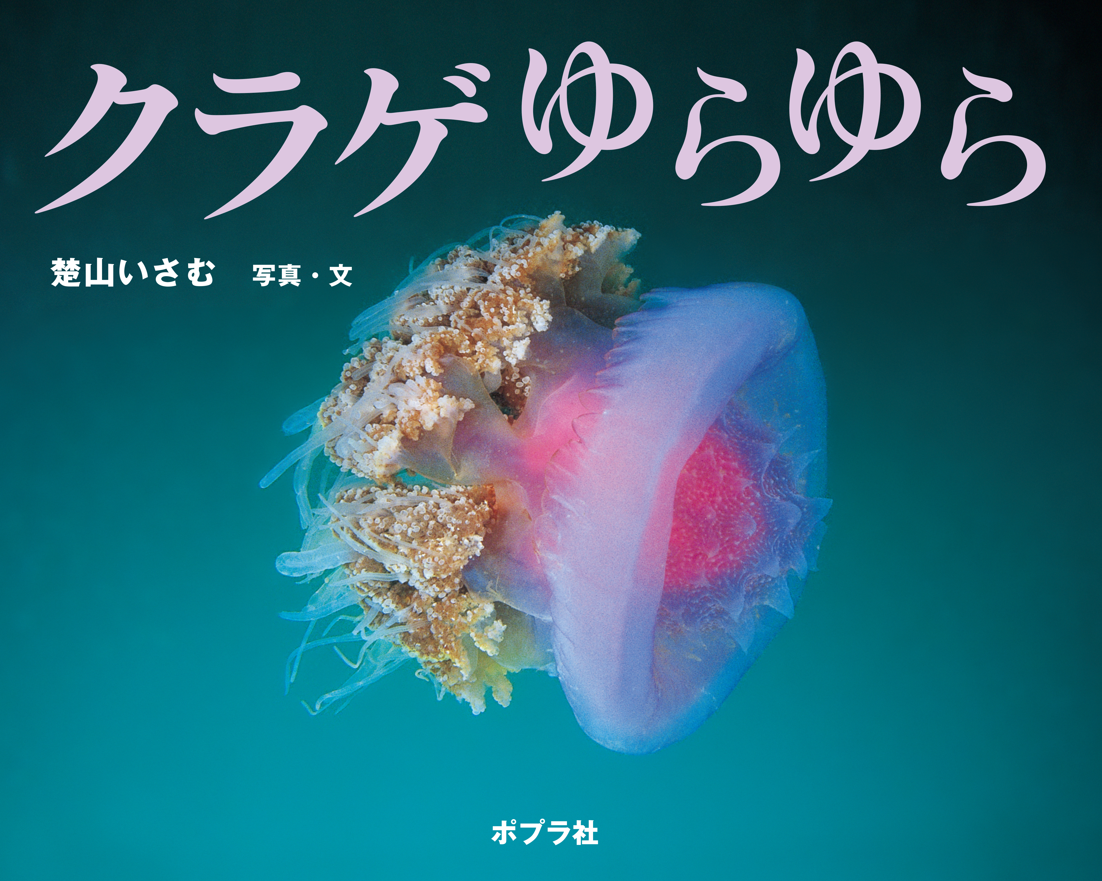 クラゲ　ゆらゆら