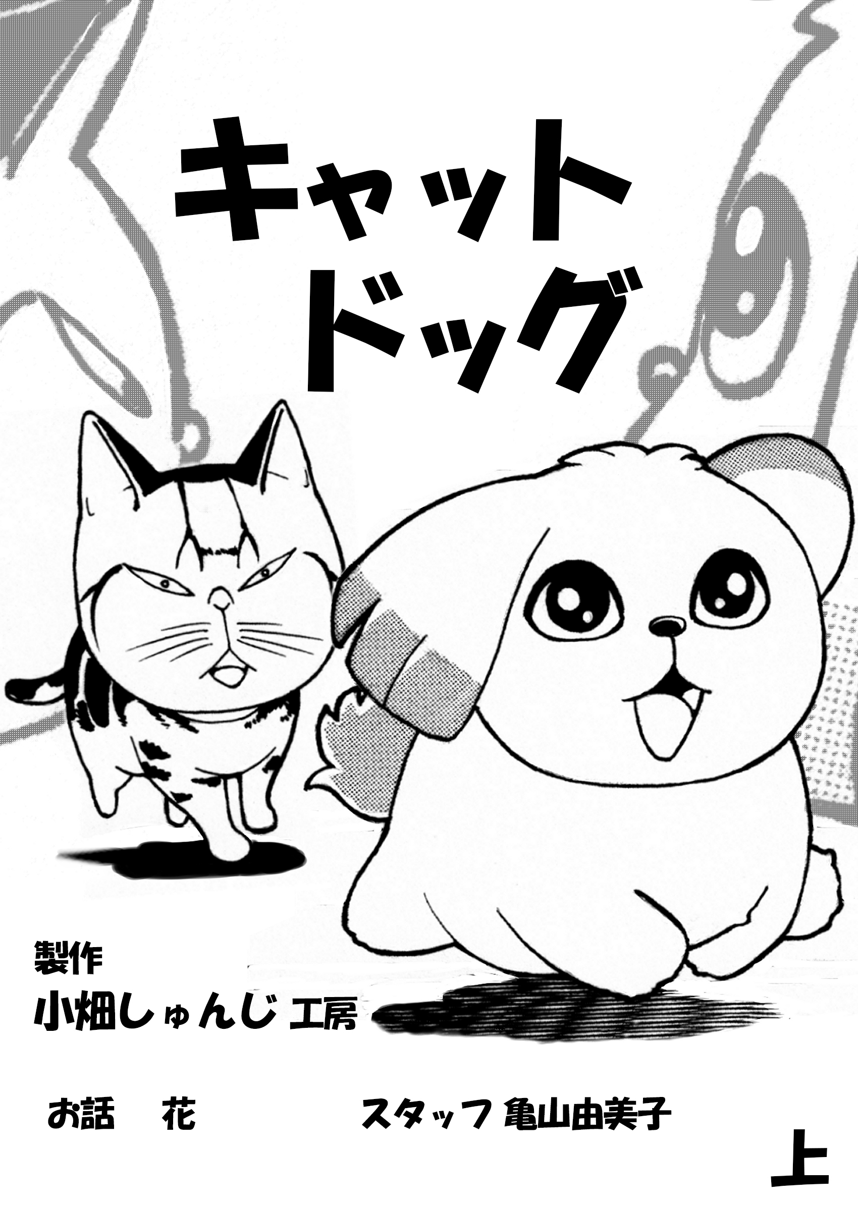 キャットドッグ上