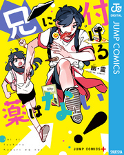 兄に付ける薬はない！