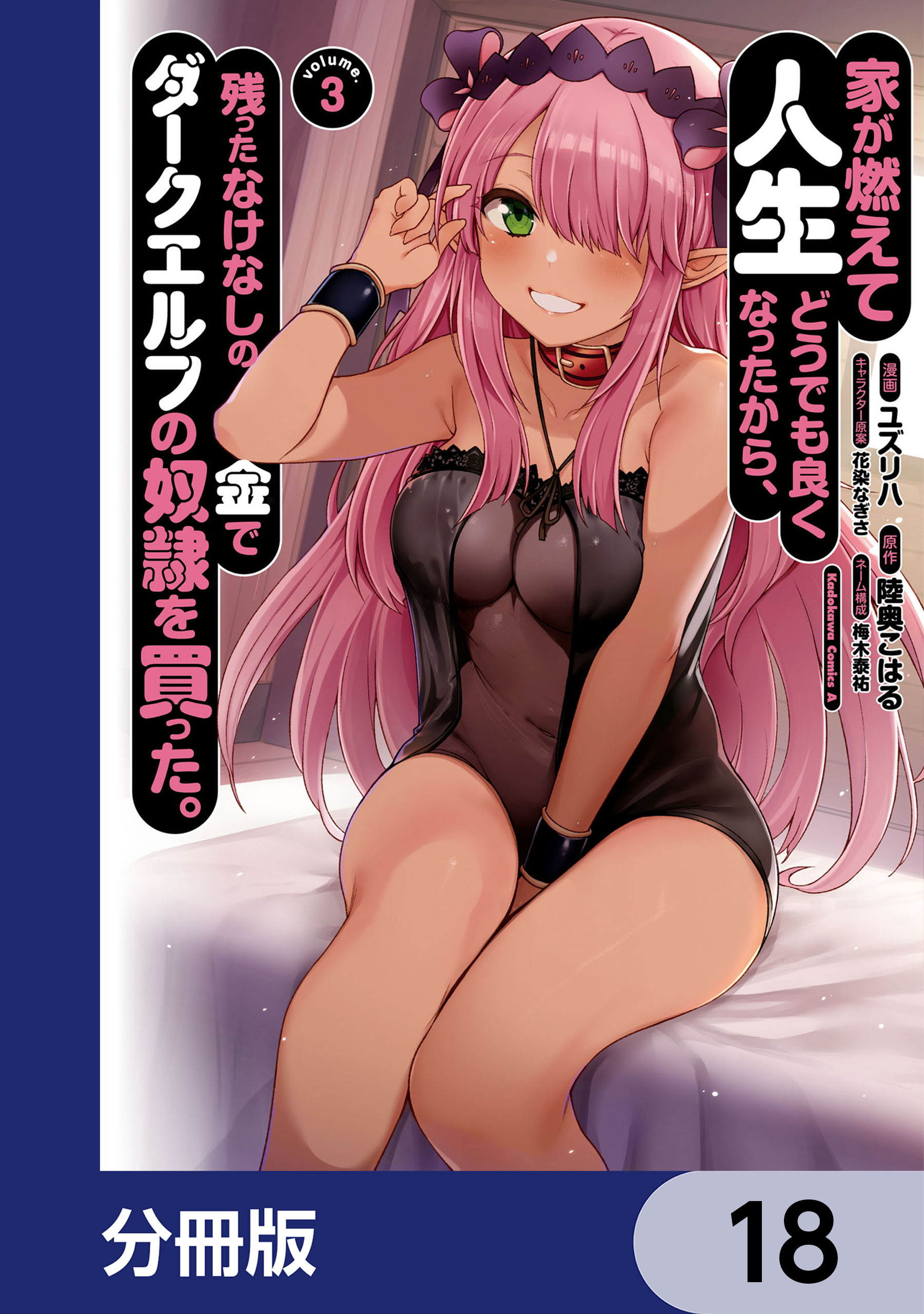 家が燃えて人生どうでも良くなったから、残ったなけなしの金でダークエルフの奴隷を買った。【分冊版】　18