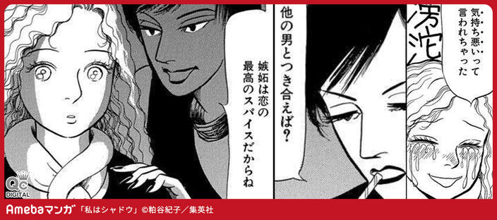 私はシャドウ【期間限定無料】 1のコマ