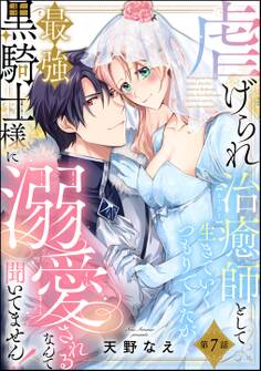 虐げられ治癒師として生きていくつもりでしたが最強黒騎士様に溺愛されるなんて聞いてません!(分冊版)