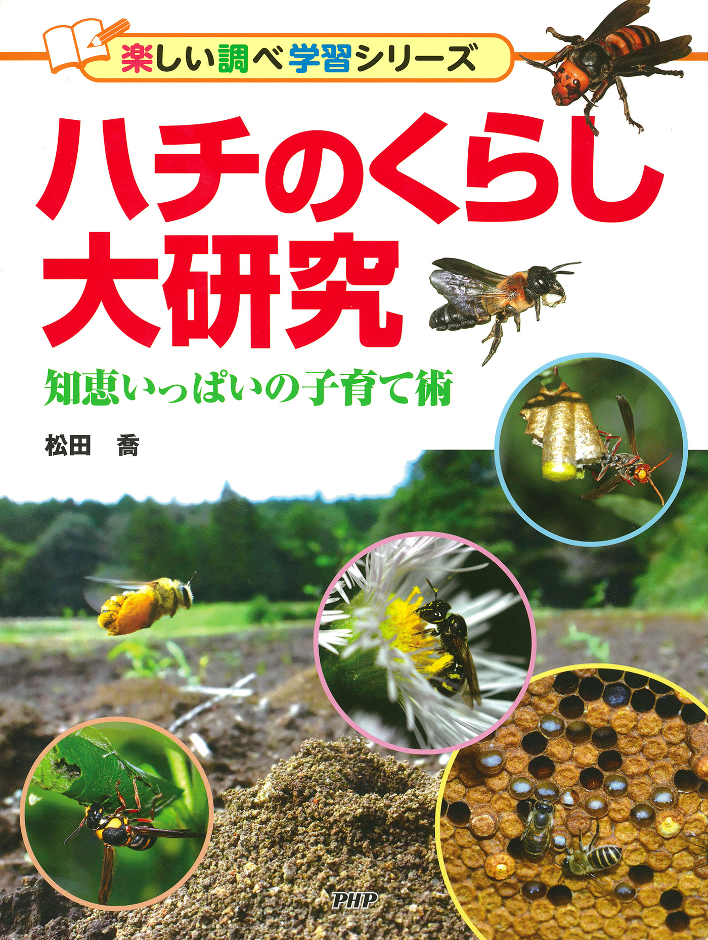 ハチのくらし大研究