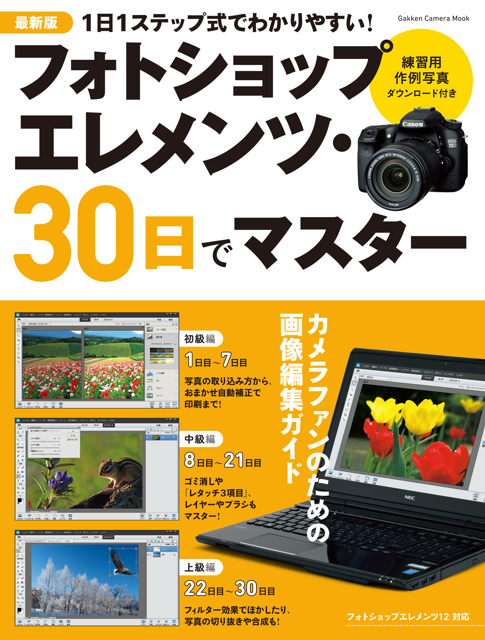 最新版　フォトショップ　エレメンツ・３０日でマスター