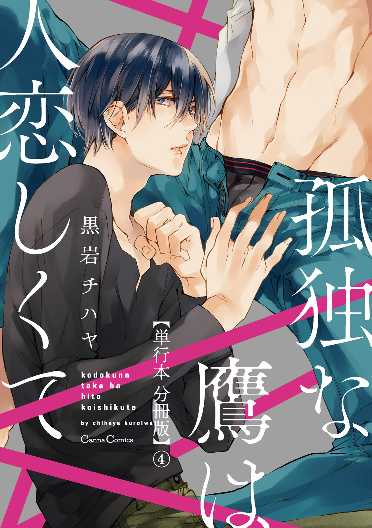 孤独な鷹は人恋しくて【単行本 分冊版】４