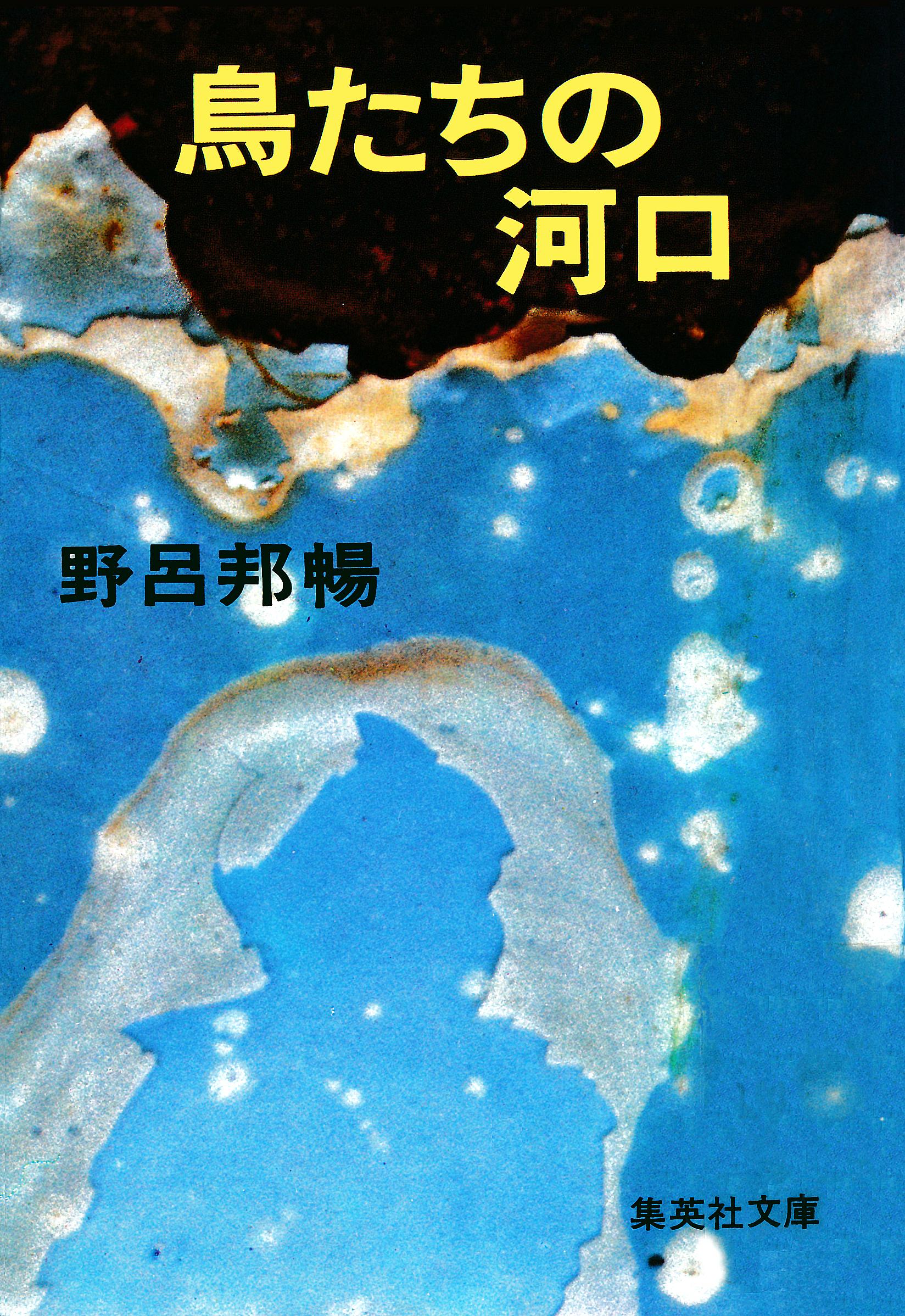 鳥たちの河口