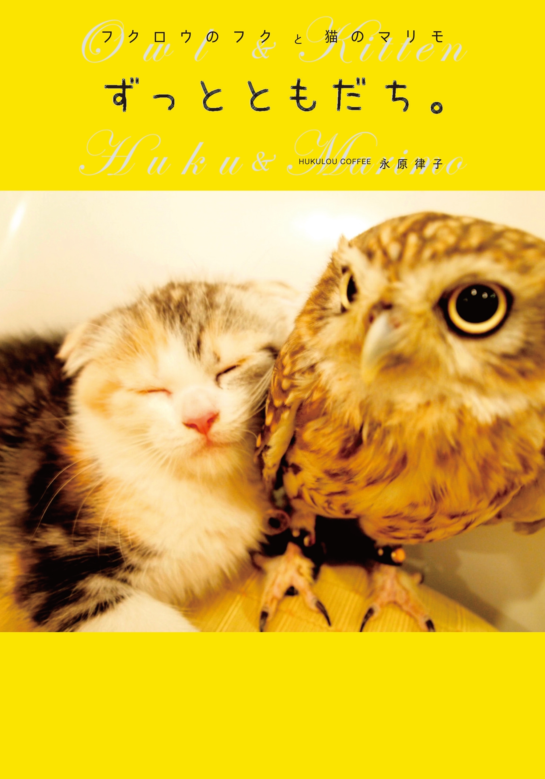 フクロウのフクと猫のマリモ