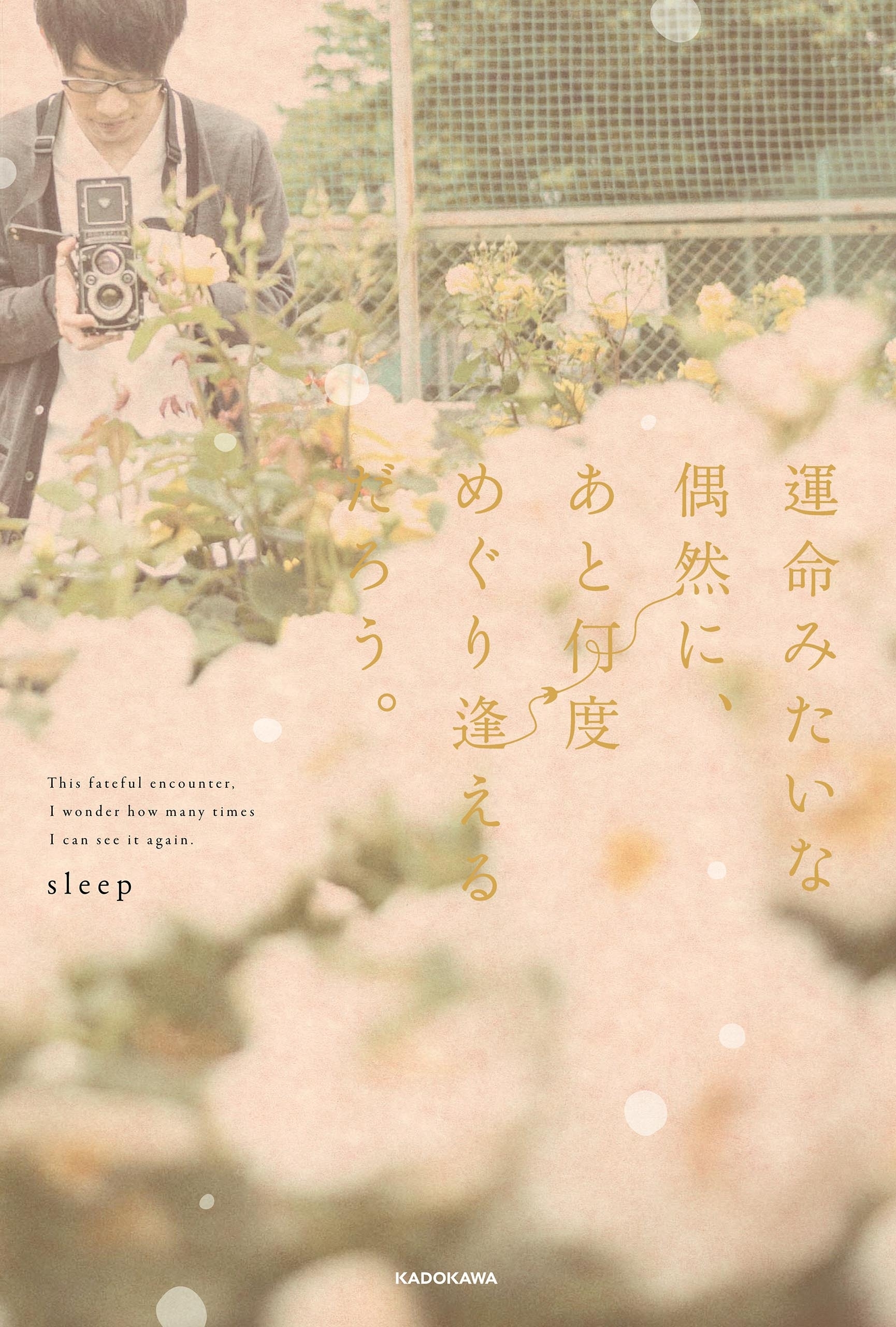 運命みたいな偶然に、あと何度めぐり逢えるだろう。