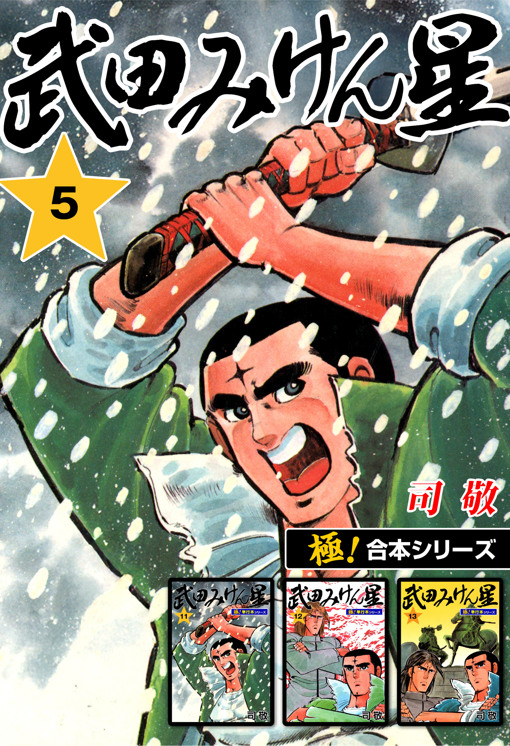 【極！合本シリーズ】武田みけん星