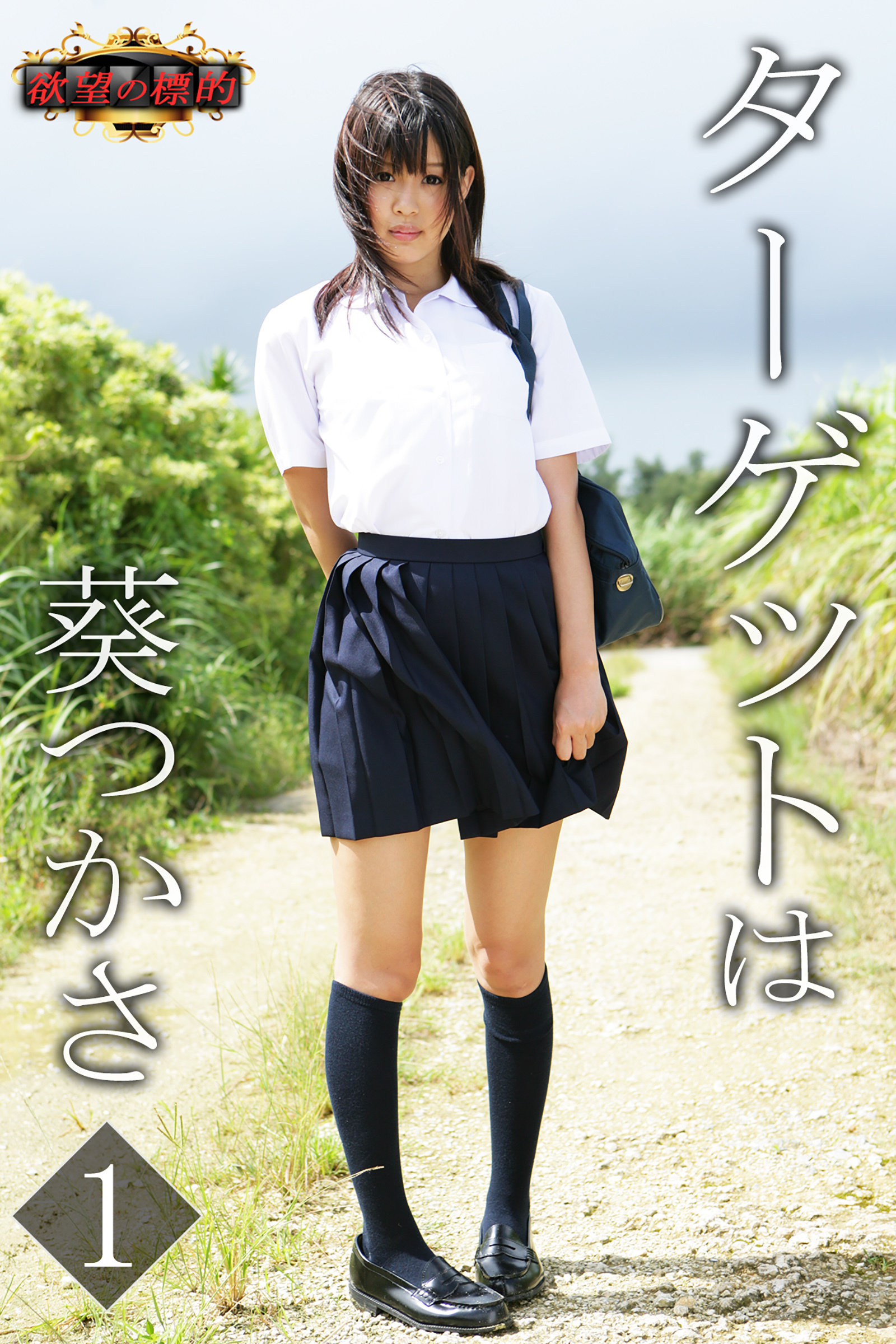 欲望の標的　ターゲットは葵つかさ１