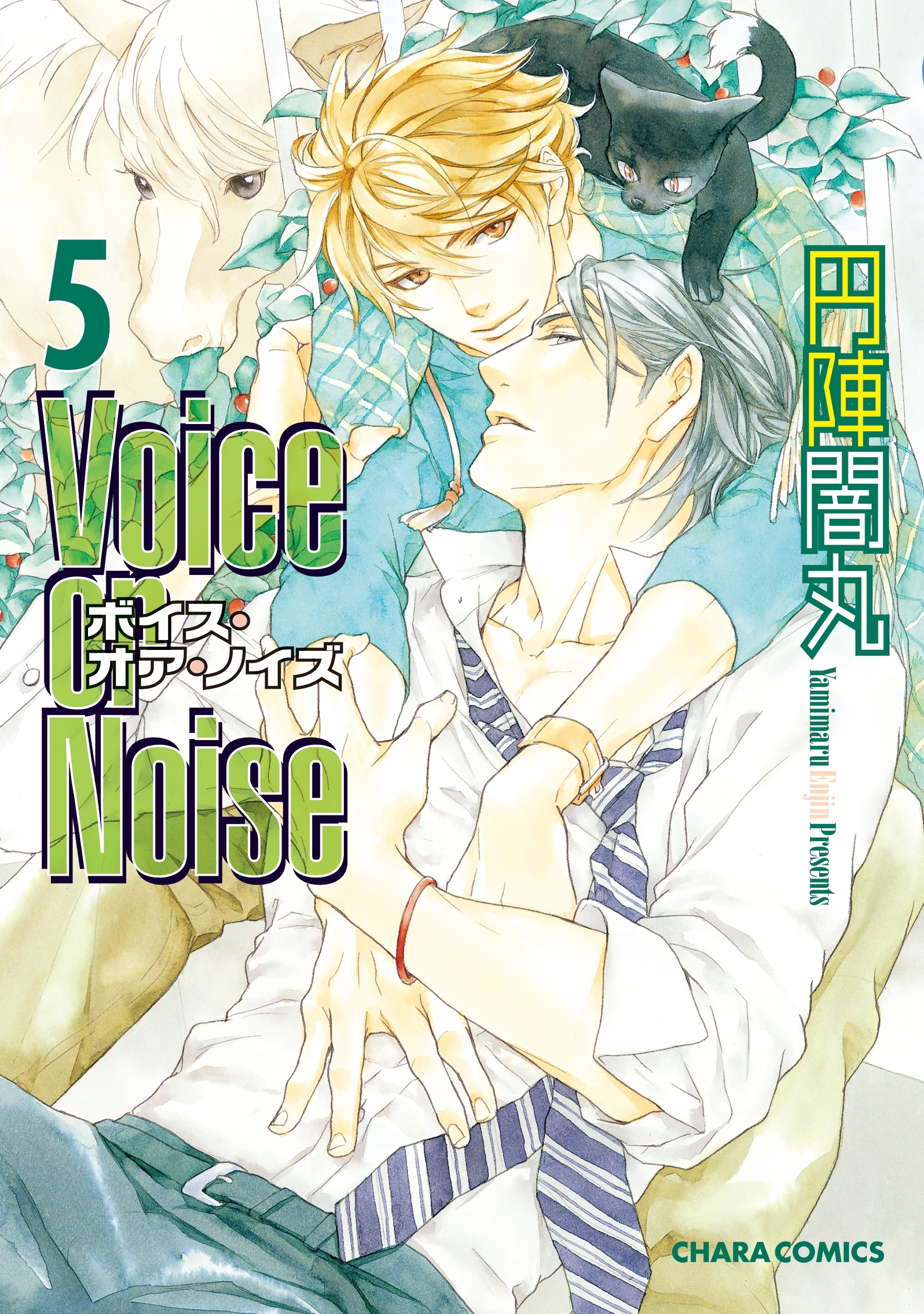 Voice or Noise（５）