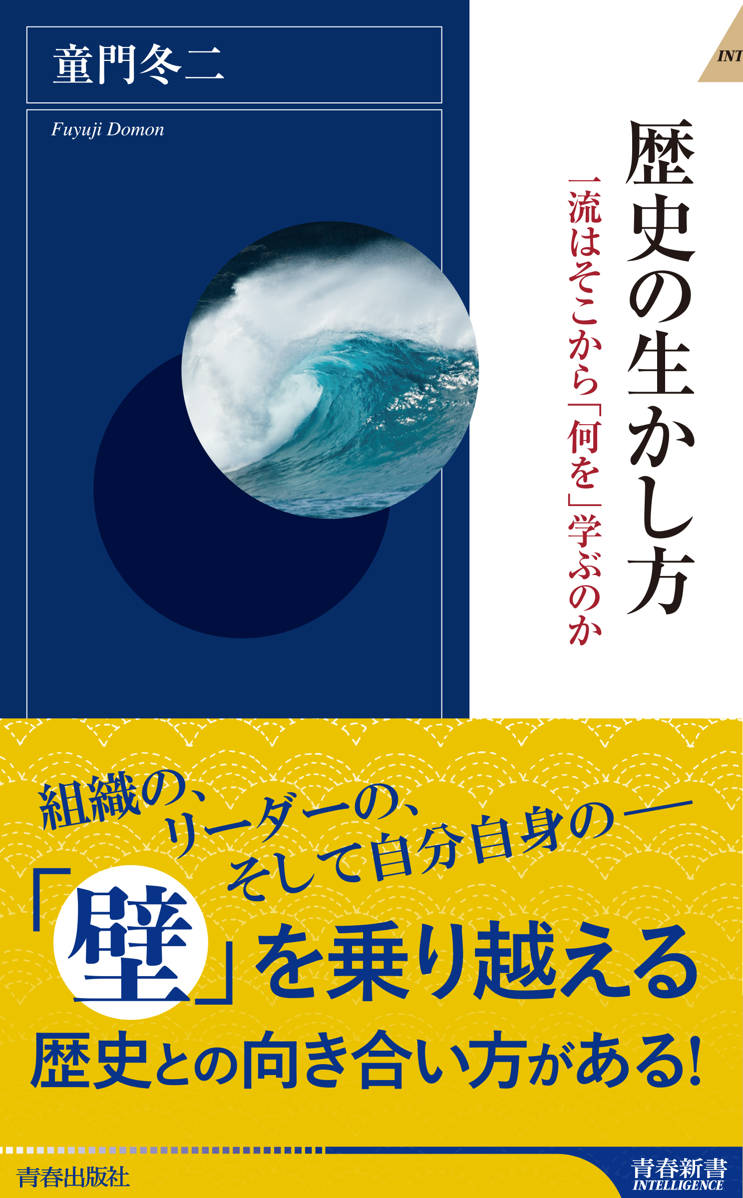 歴史の生かし方