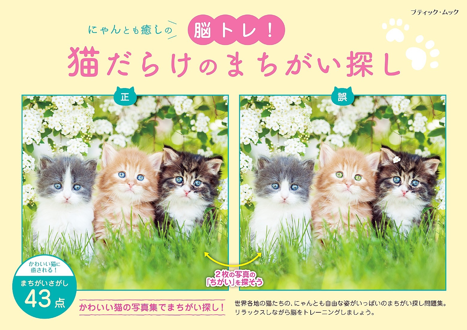 猫だらけのまちがい探し