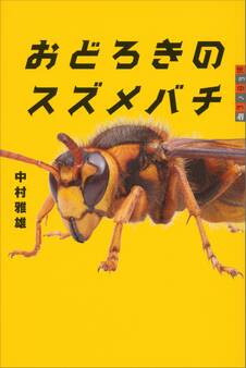 世の中への扉 おどろきのスズメバチ