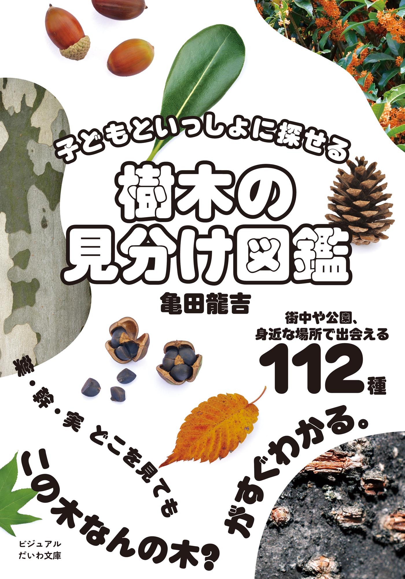 子どもといっしょに探せる 樹木の見分け図鑑
