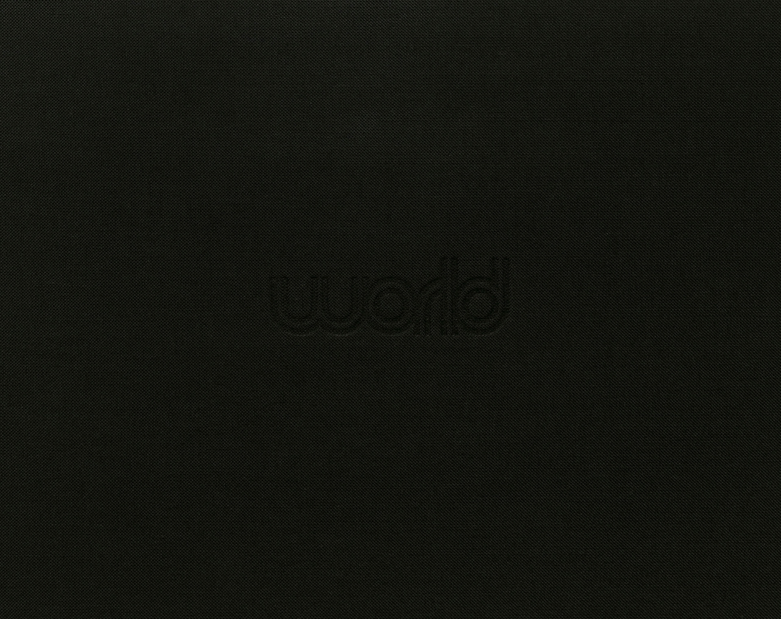 ORANGE RANGE LIVE TOUR 009-010 ～world world world～ パンフレット 電子版