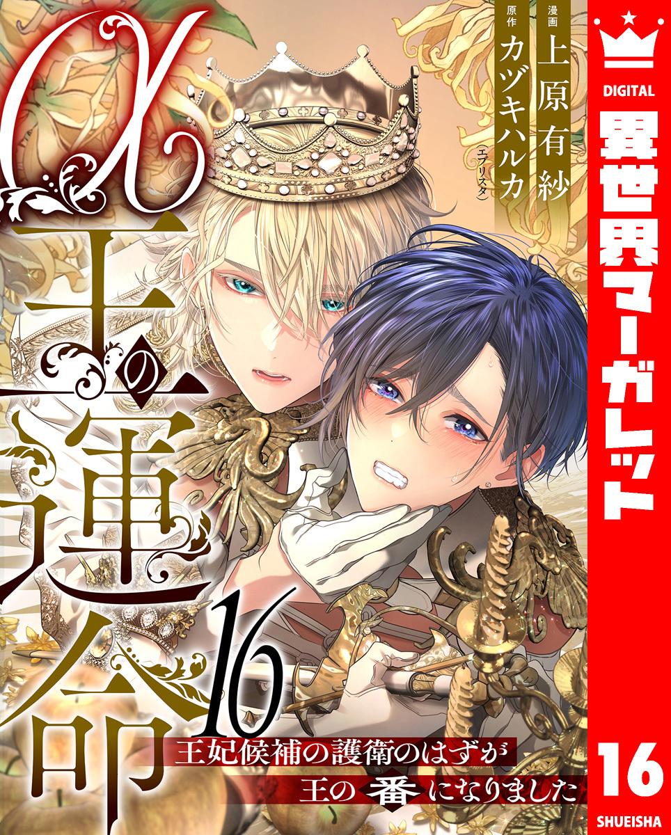 α王の運命～王妃候補の護衛のはずが王の番になりました～ 16