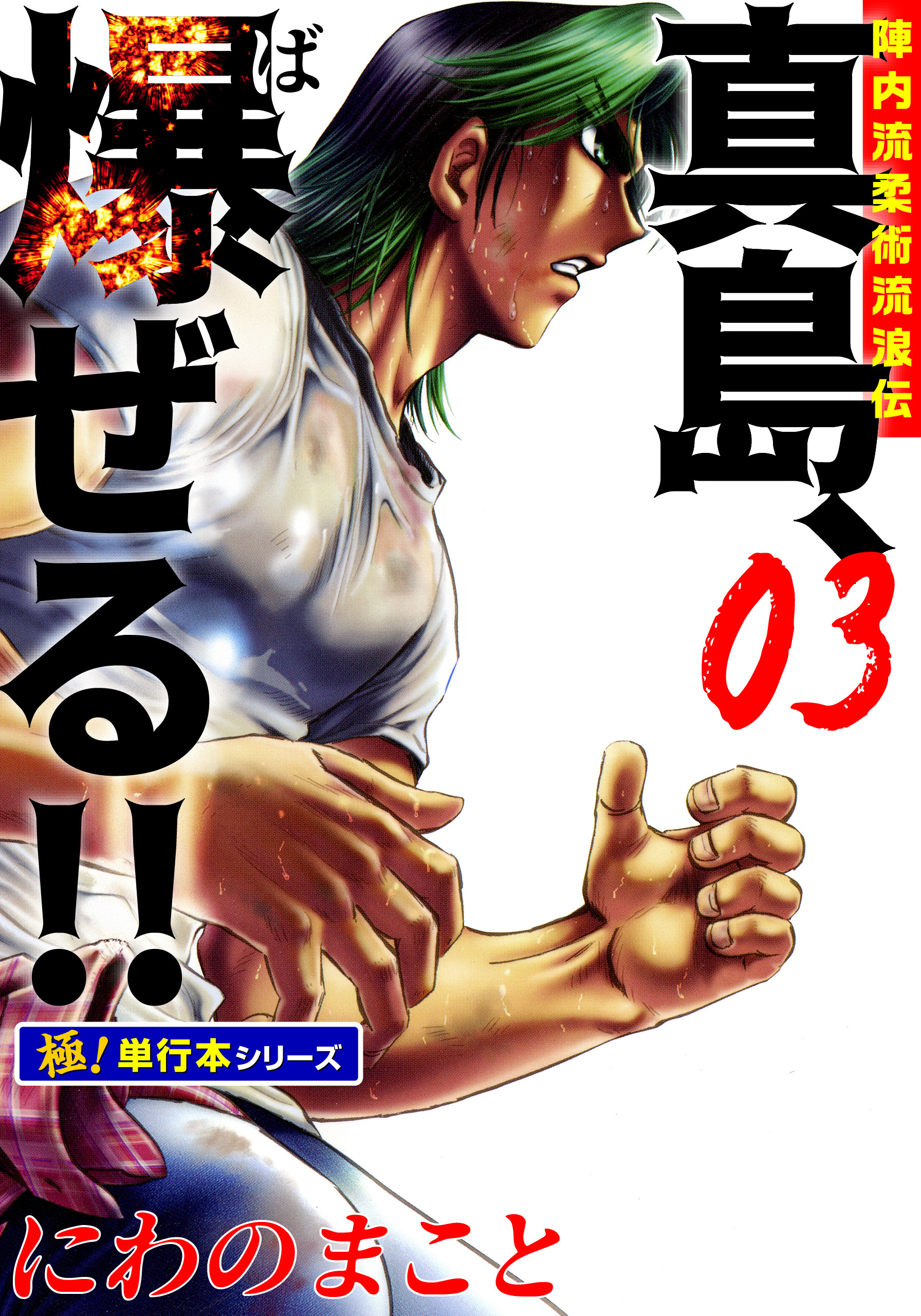 陣内流柔術流浪伝 真島、爆ぜる!!【極！単行本シリーズ】3巻