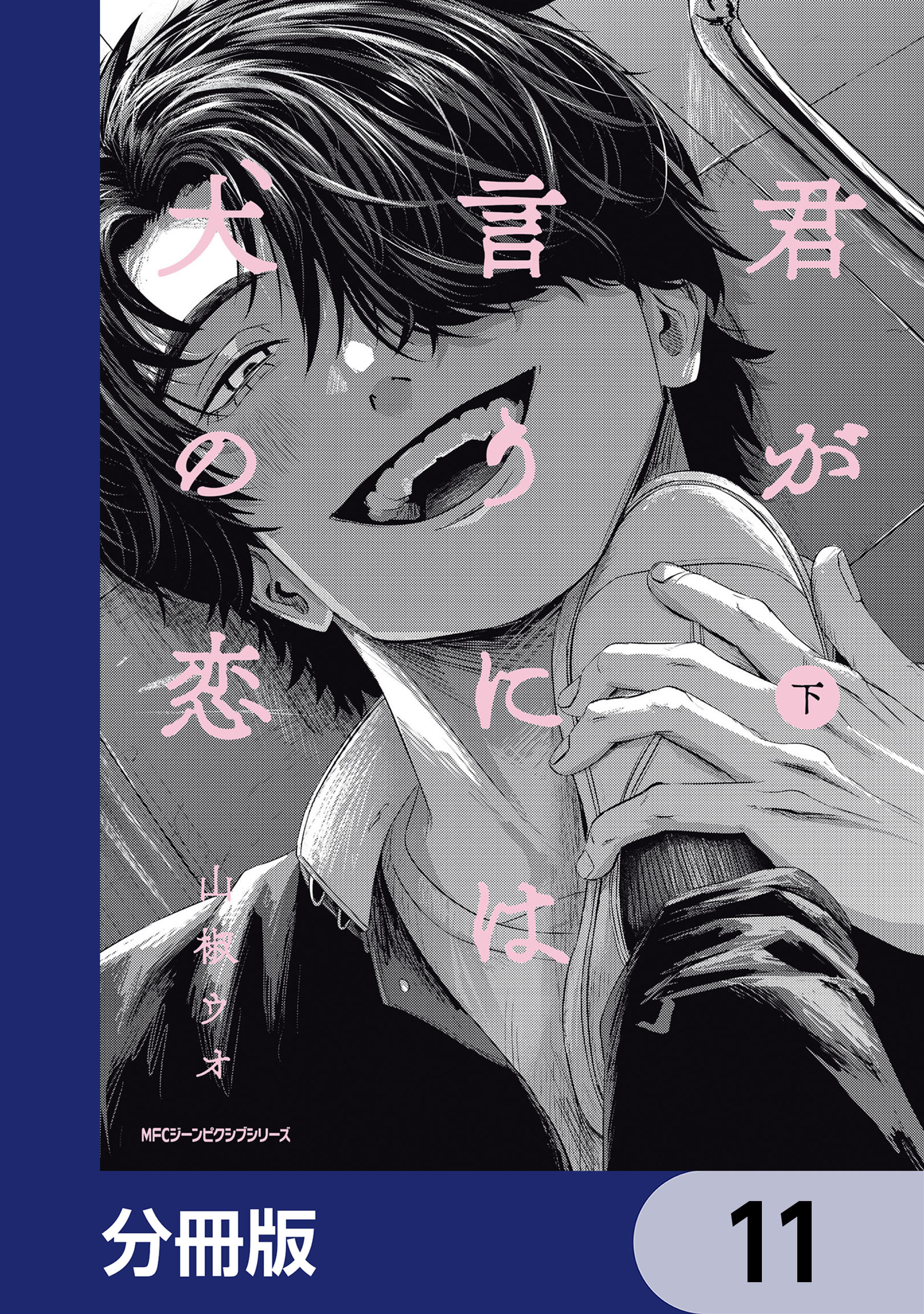 君が言うには犬の恋【分冊版】　11