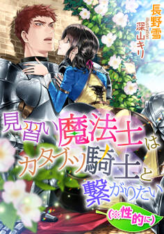 見習い魔法士はカタブツ騎士と繋がりたい(※性的に)