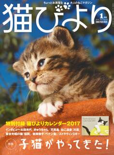 猫びより2017年1月号 Vol.91