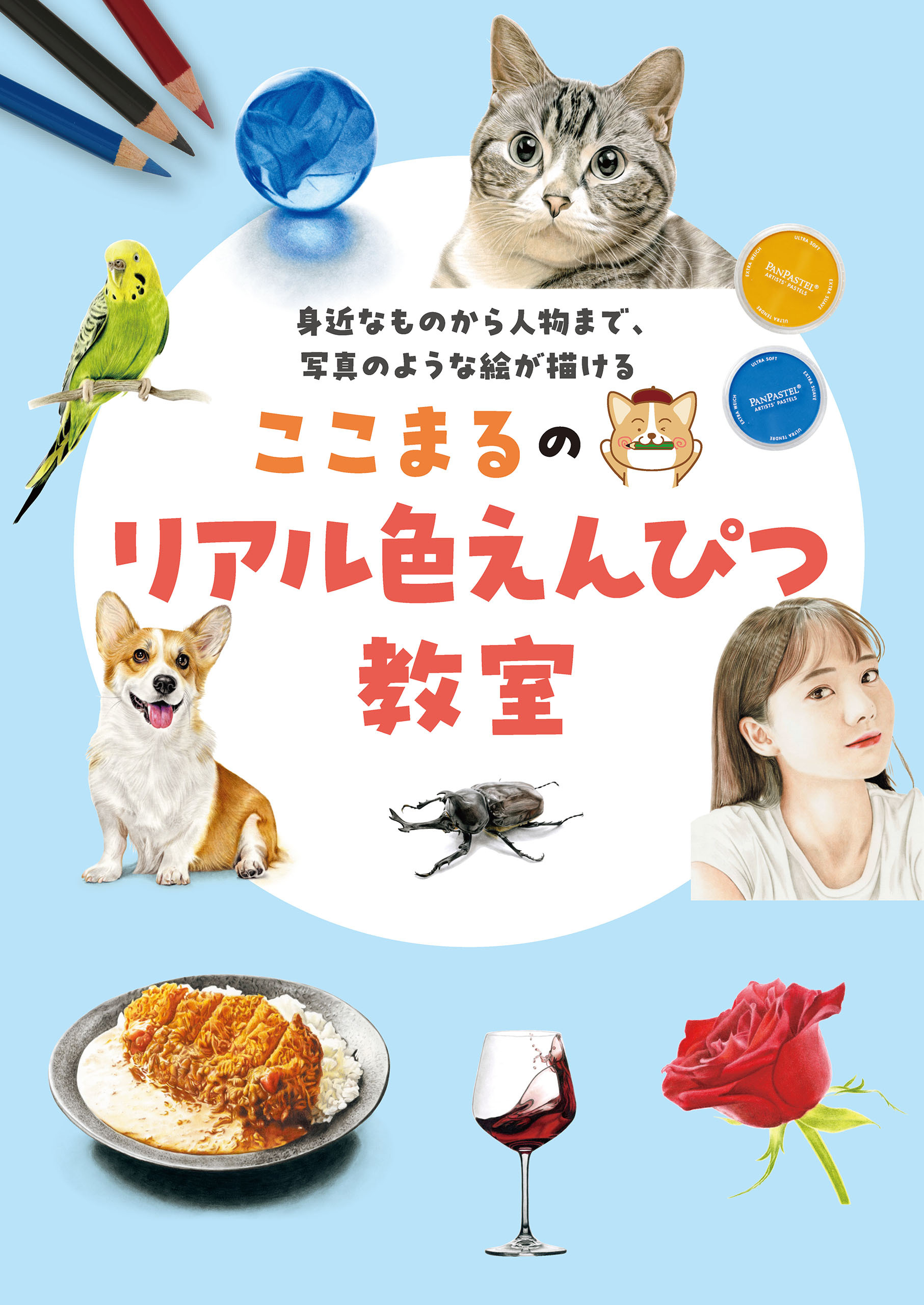 ここまるのリアル色えんぴつ教室