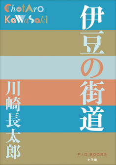 P+D BOOKS 伊豆の街道