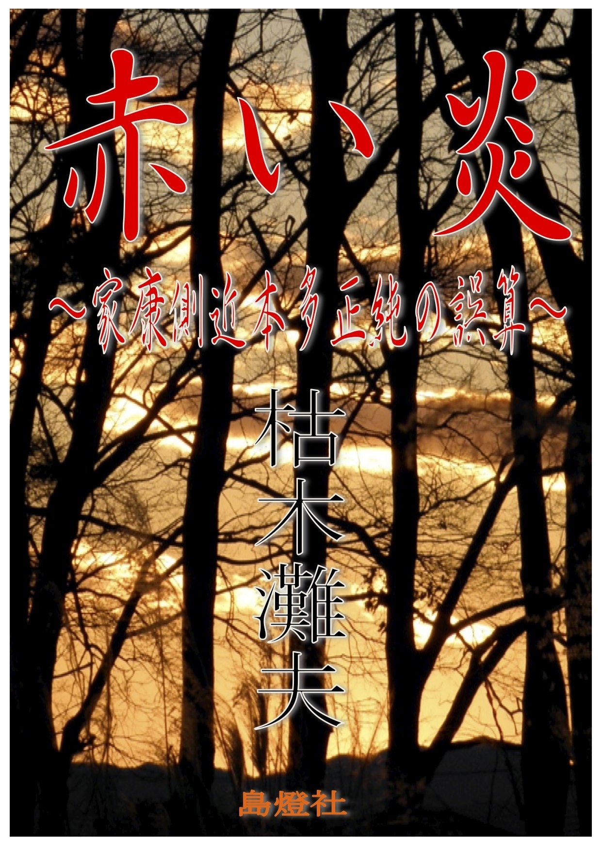 赤い炎～家康側近本多正純の誤算～