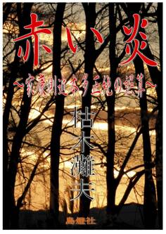 赤い炎~家康側近本多正純の誤算~